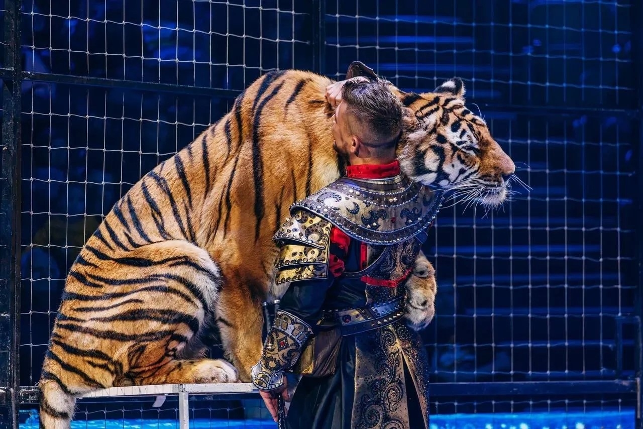 Императорский цирк Моретти с 22.08 по 18.10