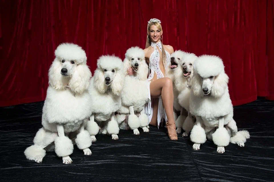 Дикая планета