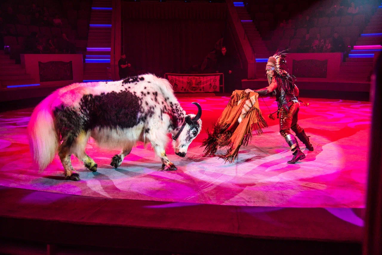 Дикая планета