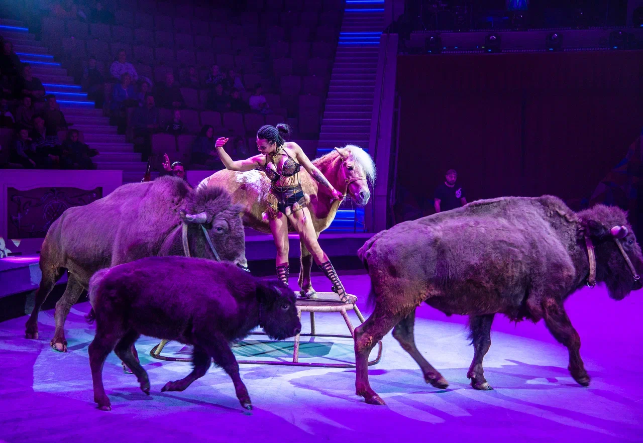 Дикая планета