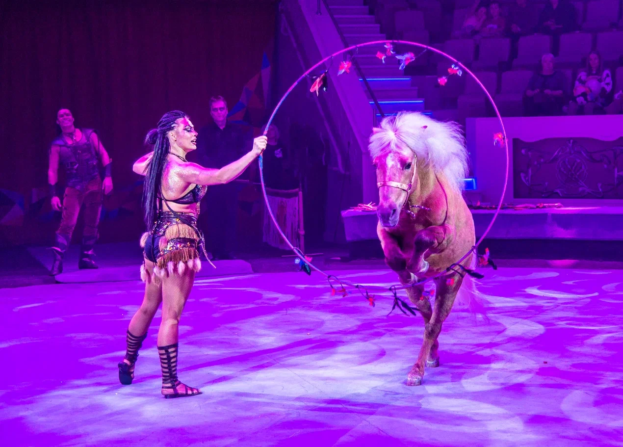 Дикая планета