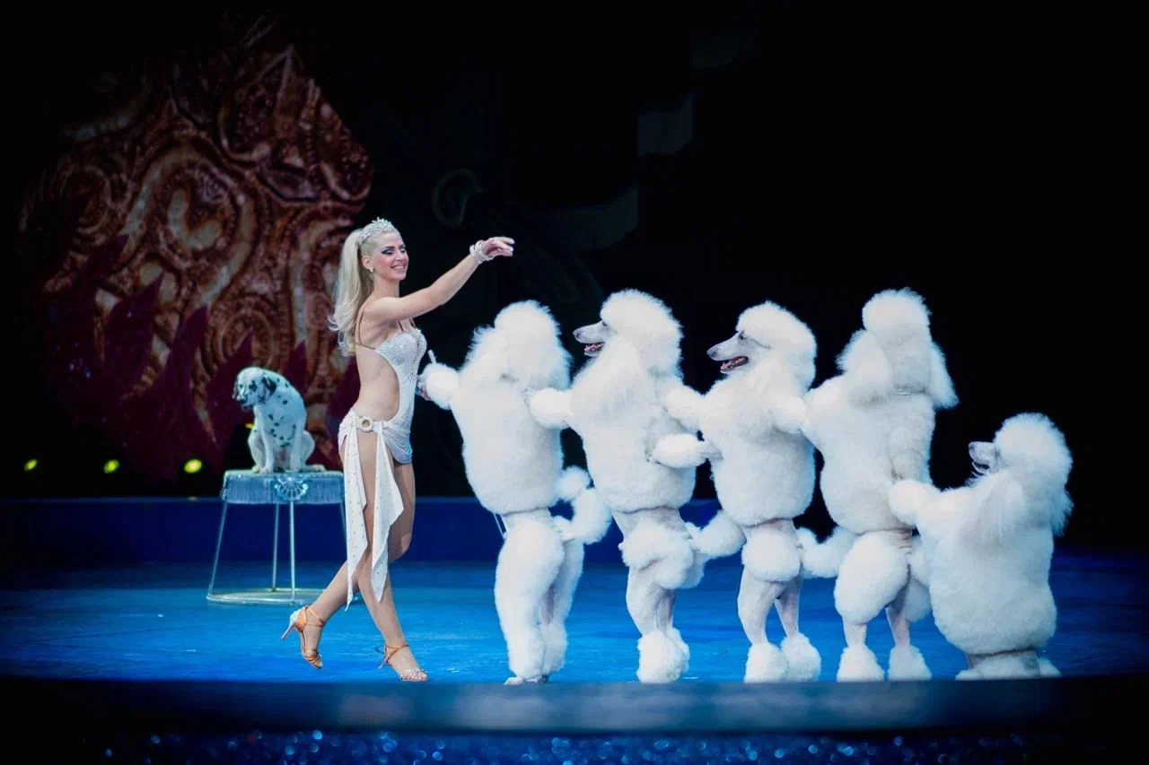 Дикая планета