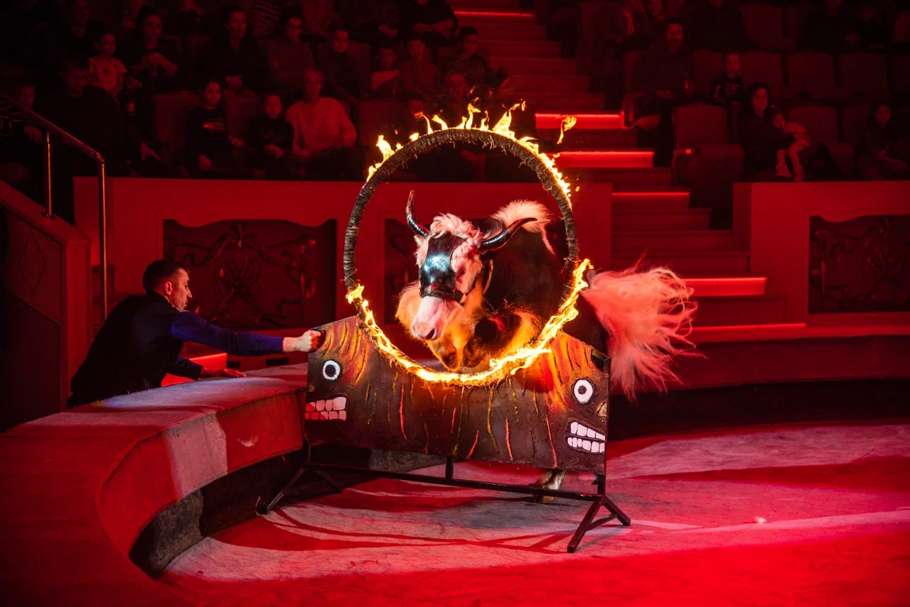 Дикая планета