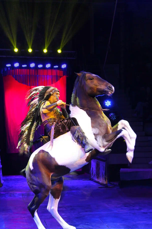 Дикая планета