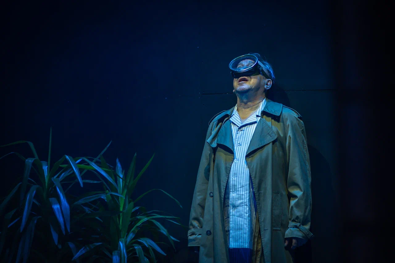 Бухта Тайдзи