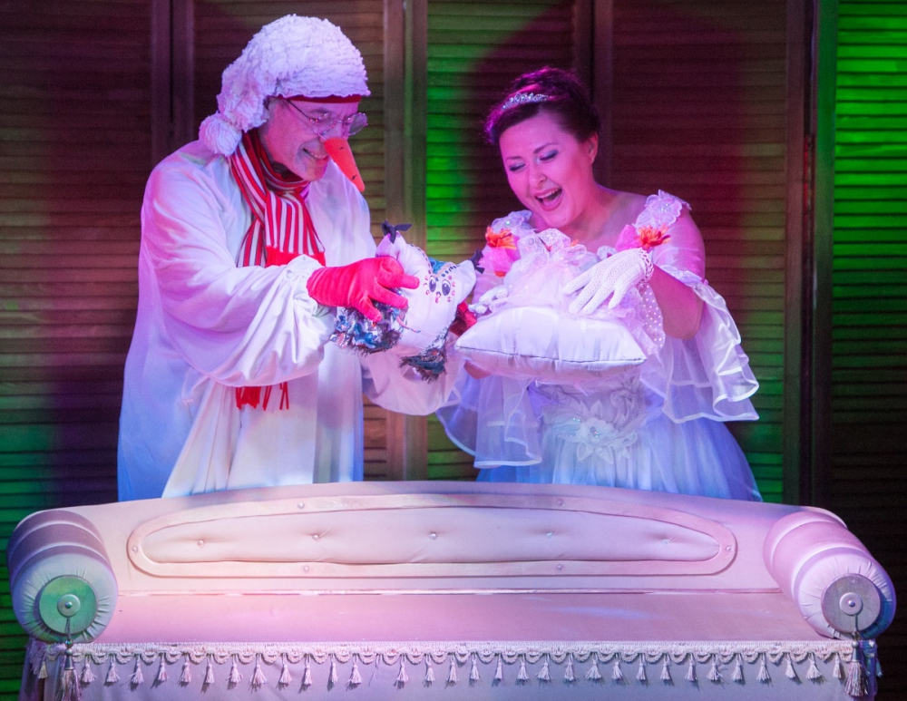 "Приключения принцессы Подушечки". Максим Холл. 0+