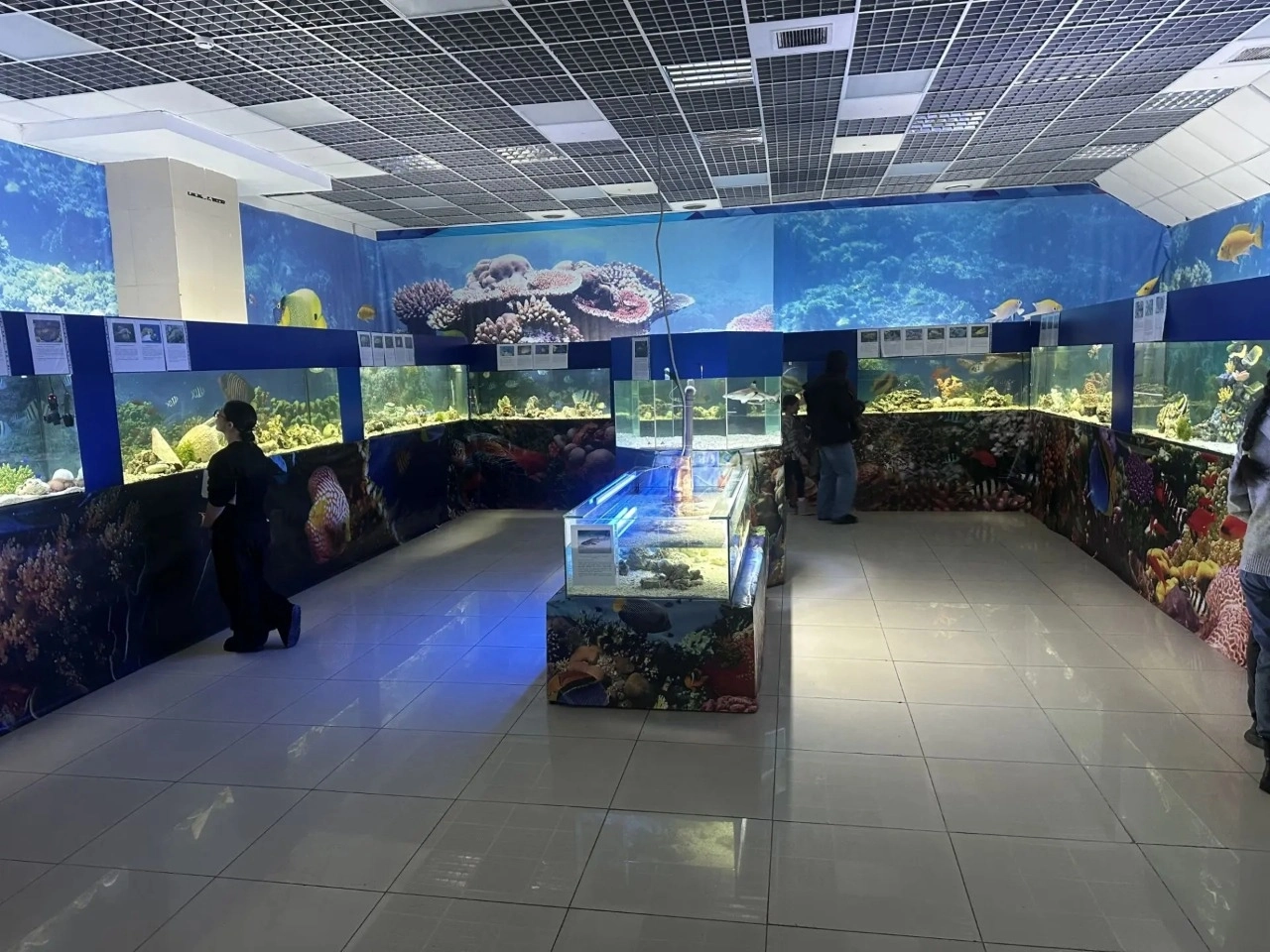 Выставка рыб «Морская галерея»