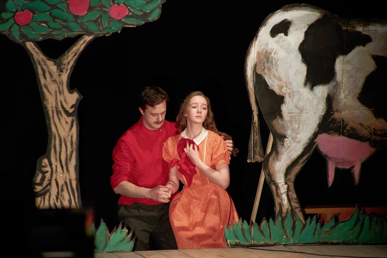 Стёпкина любовь