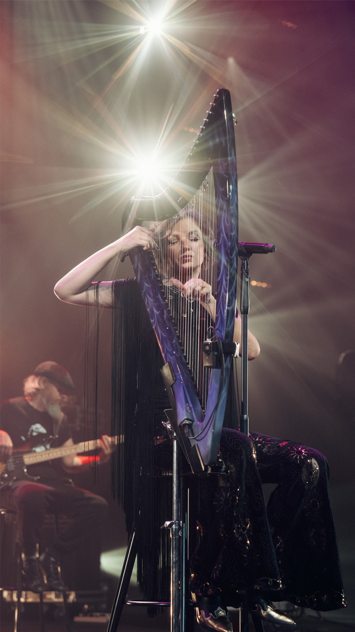 Мельница - Крапива. Рождество