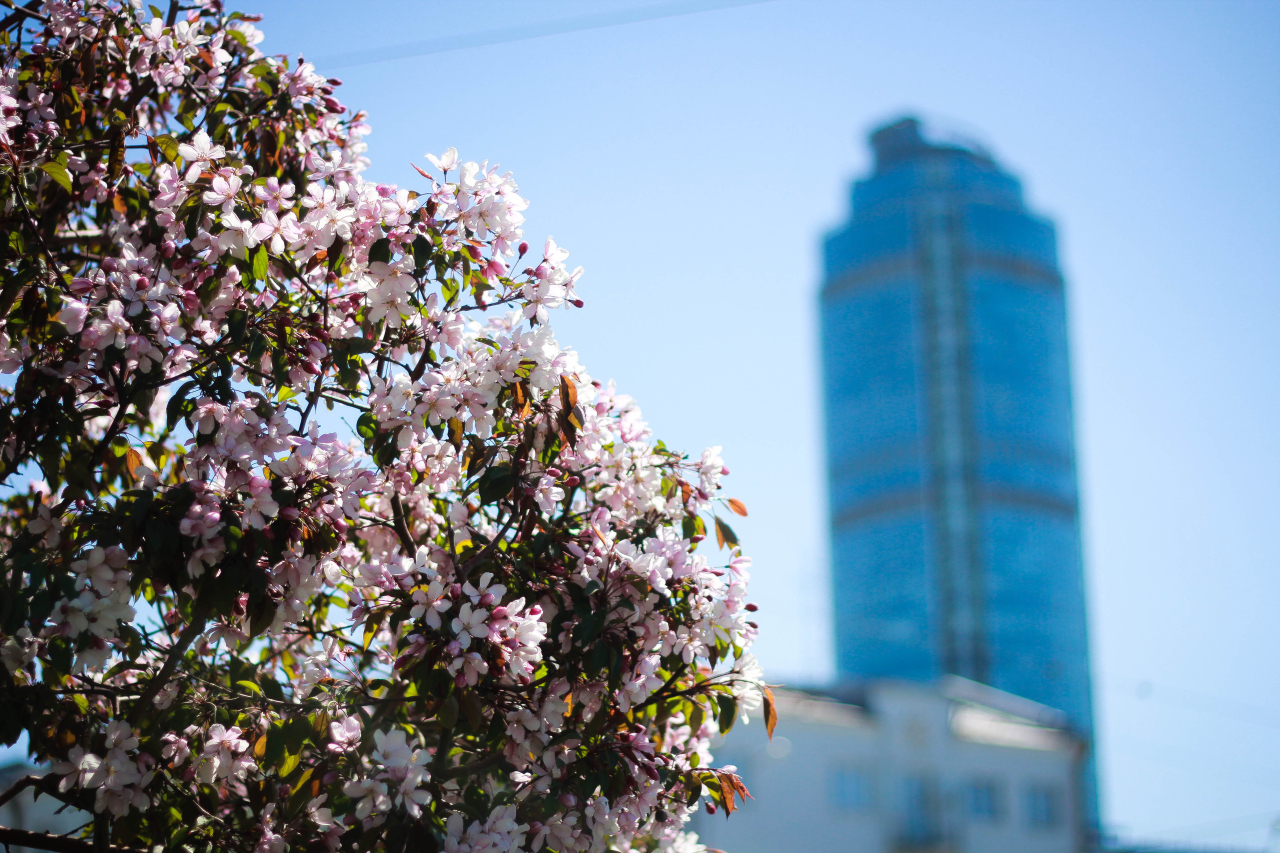 Обзорная экскурсия + граница Европы и Азии+ Ганина Яма