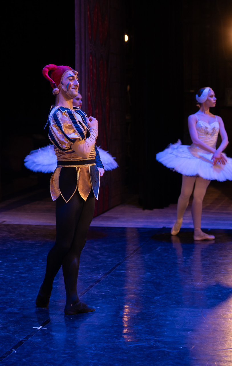 Балет «Лебединое озеро»