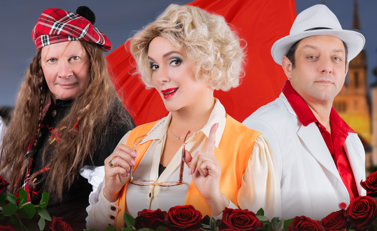 Спектакль «Ищу мужа»