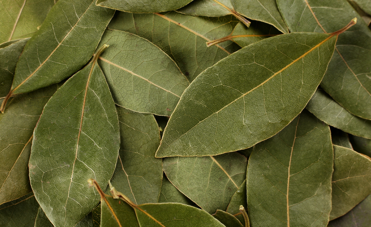 «Национальный гастрономический конкурс «Лавры 2.0»