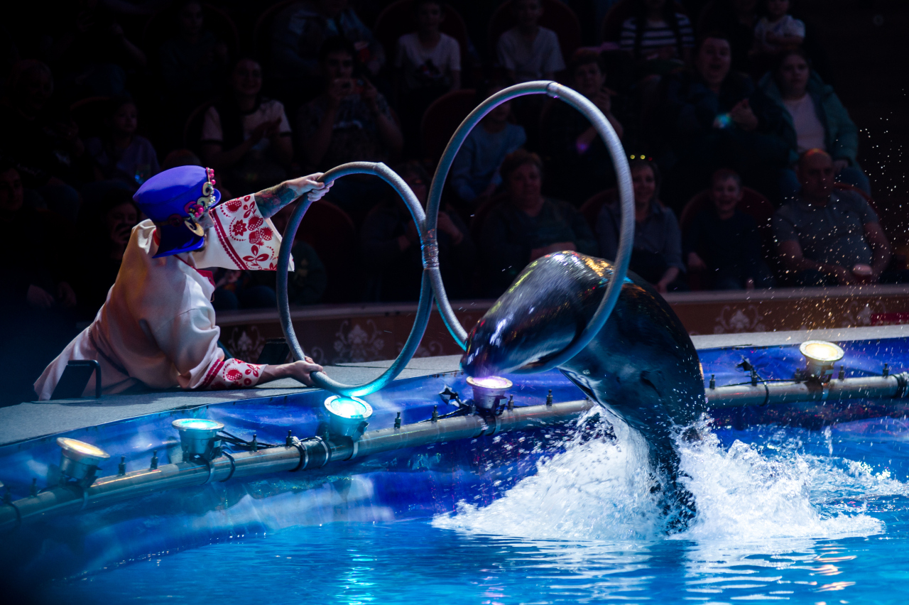 Цирк на воде Царство фонтанов