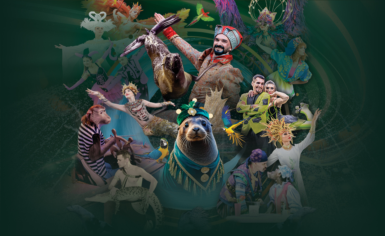 Цирк на воде Царство фонтанов