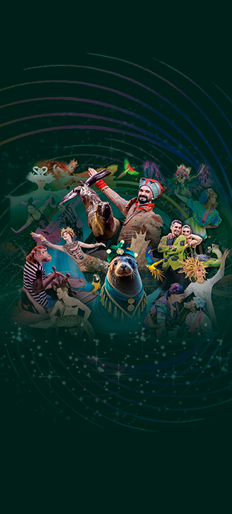 Цирк на воде Царство фонтанов