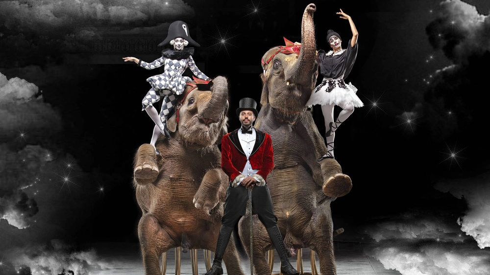 Девочка и слон