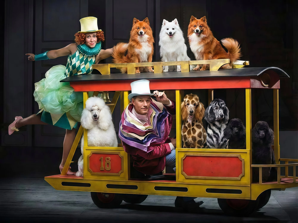 Девочка и слон