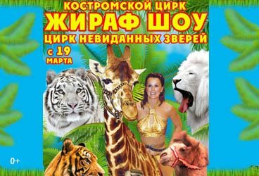 Жираф - Шоу