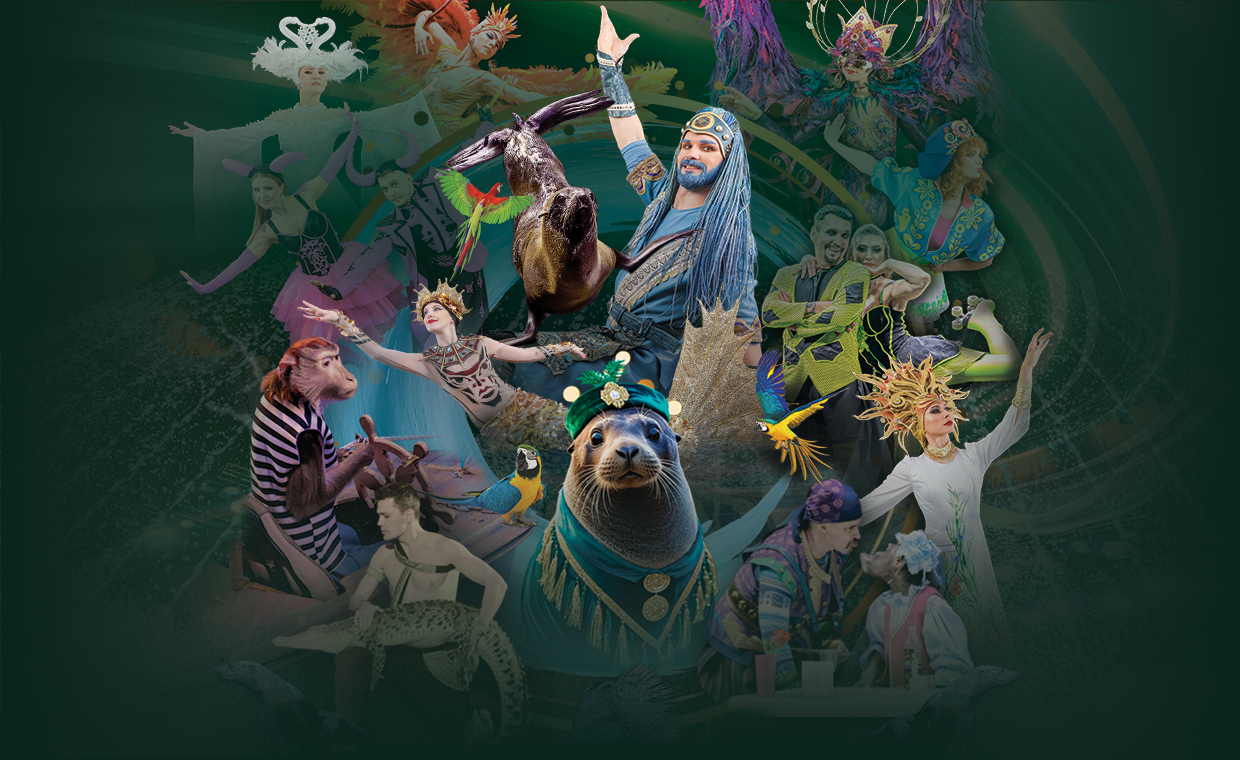 Цирк на воде Царство фонтанов