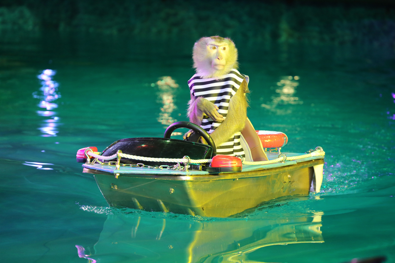 Цирк на воде Царство фонтанов