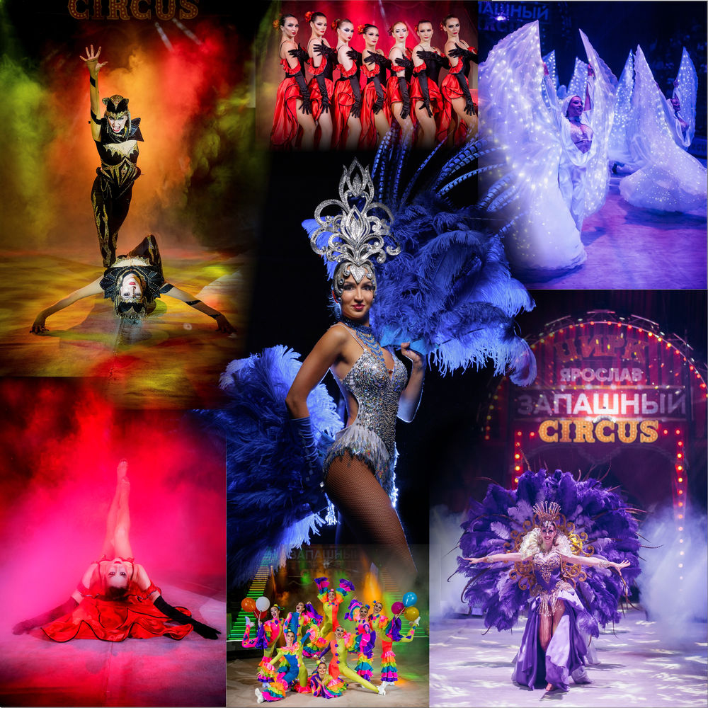 Тигры на земле и в воздухе