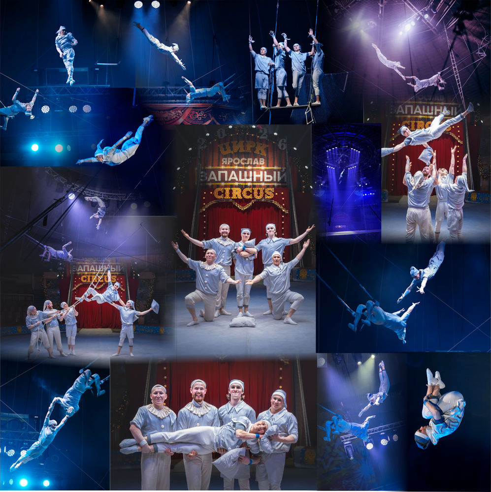 Тигры на земле и в воздухе