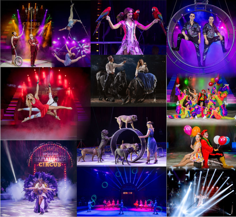 Тигры на земле и в воздухе