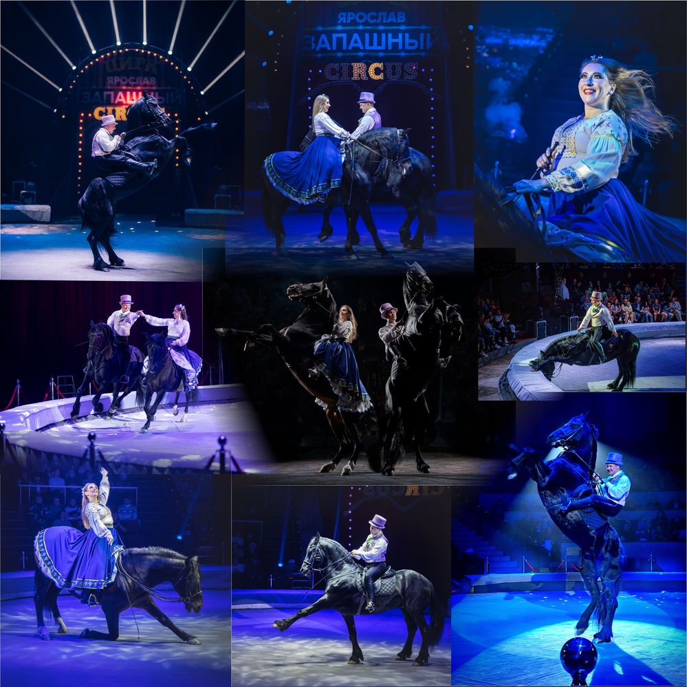 Тигры на земле и в воздухе