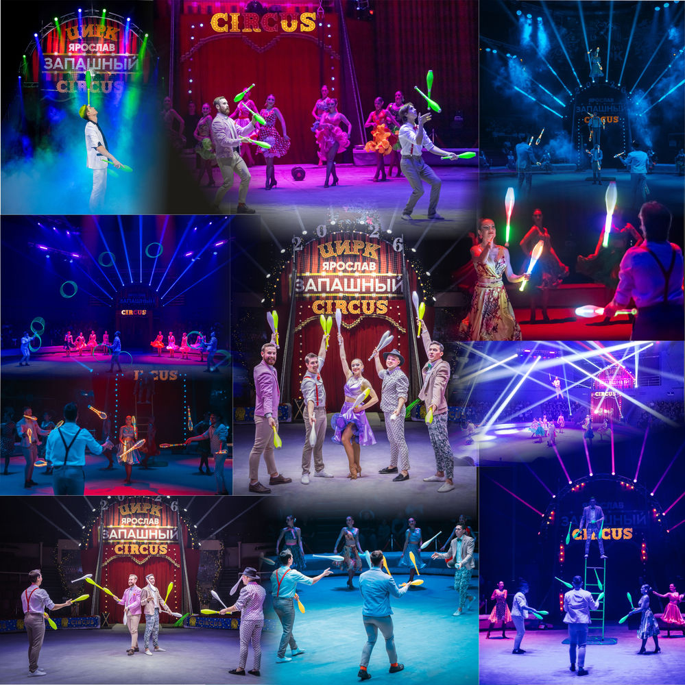 Тигры на земле и в воздухе