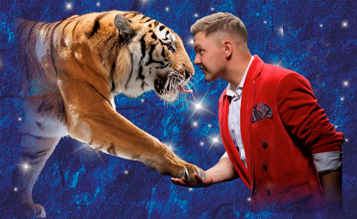 Тигры на земле и в воздухе