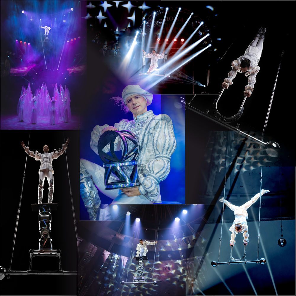 Тигры на земле и в воздухе