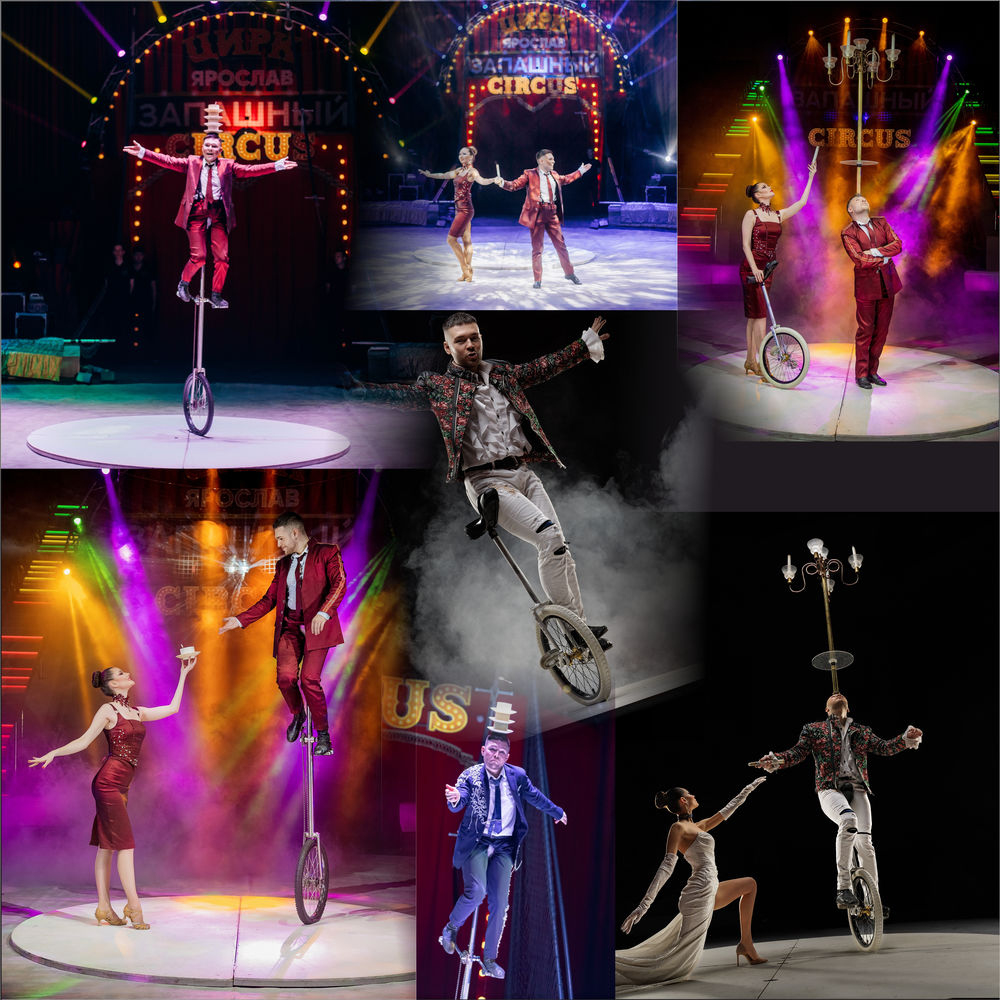 Тигры на земле и в воздухе