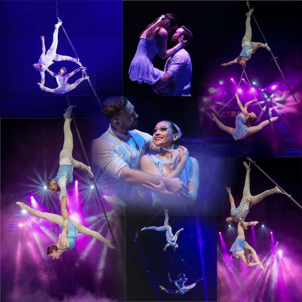 Тигры на земле и в воздухе