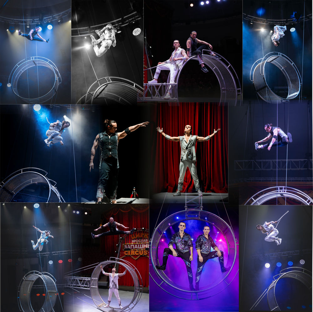 Тигры на земле и в воздухе